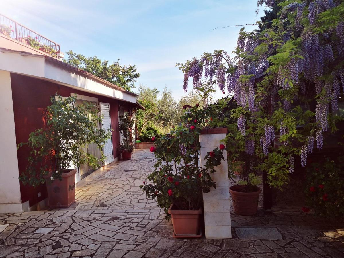 B&B Villa Lena トゥーリ エクステリア 写真