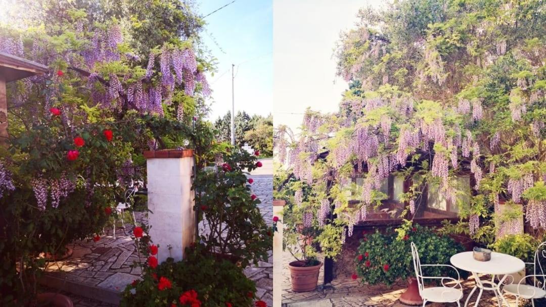 B&B Villa Lena トゥーリ エクステリア 写真